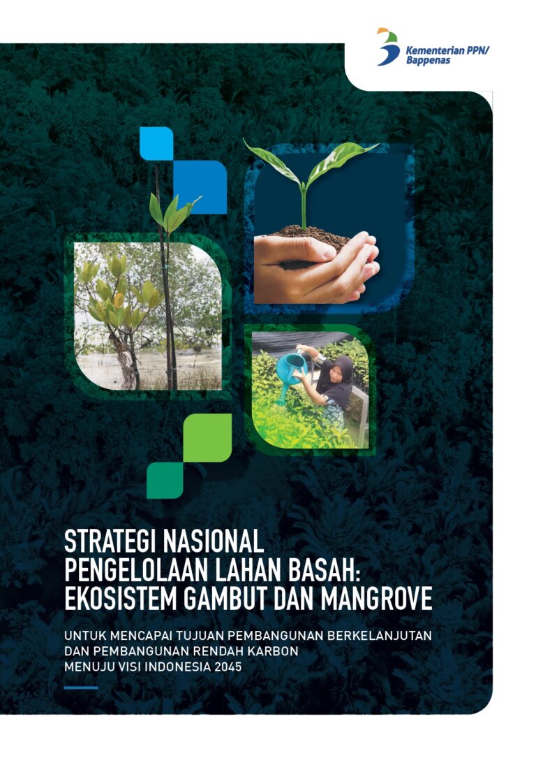 Strategi Nasional Pengelolaan Lahan Basah – Ekosistem Gambut Dan ...